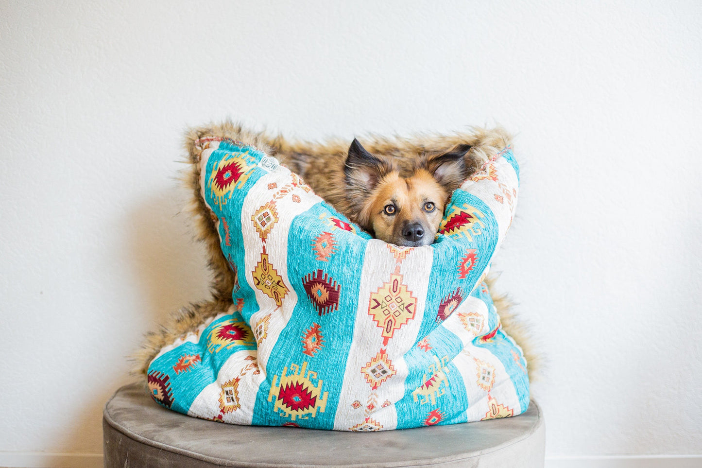 1001 sweet dreams bed