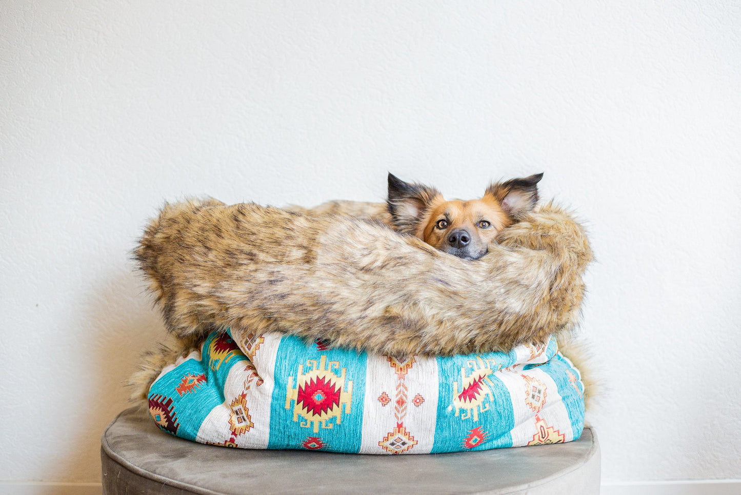 1001 sweet dreams bed