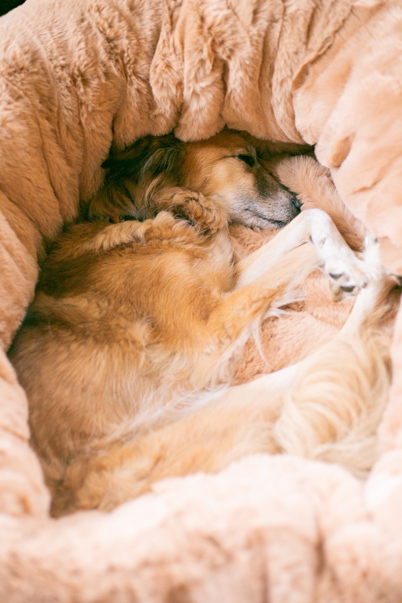 Burgundy kilim - velvet / faux fur snuggle sack