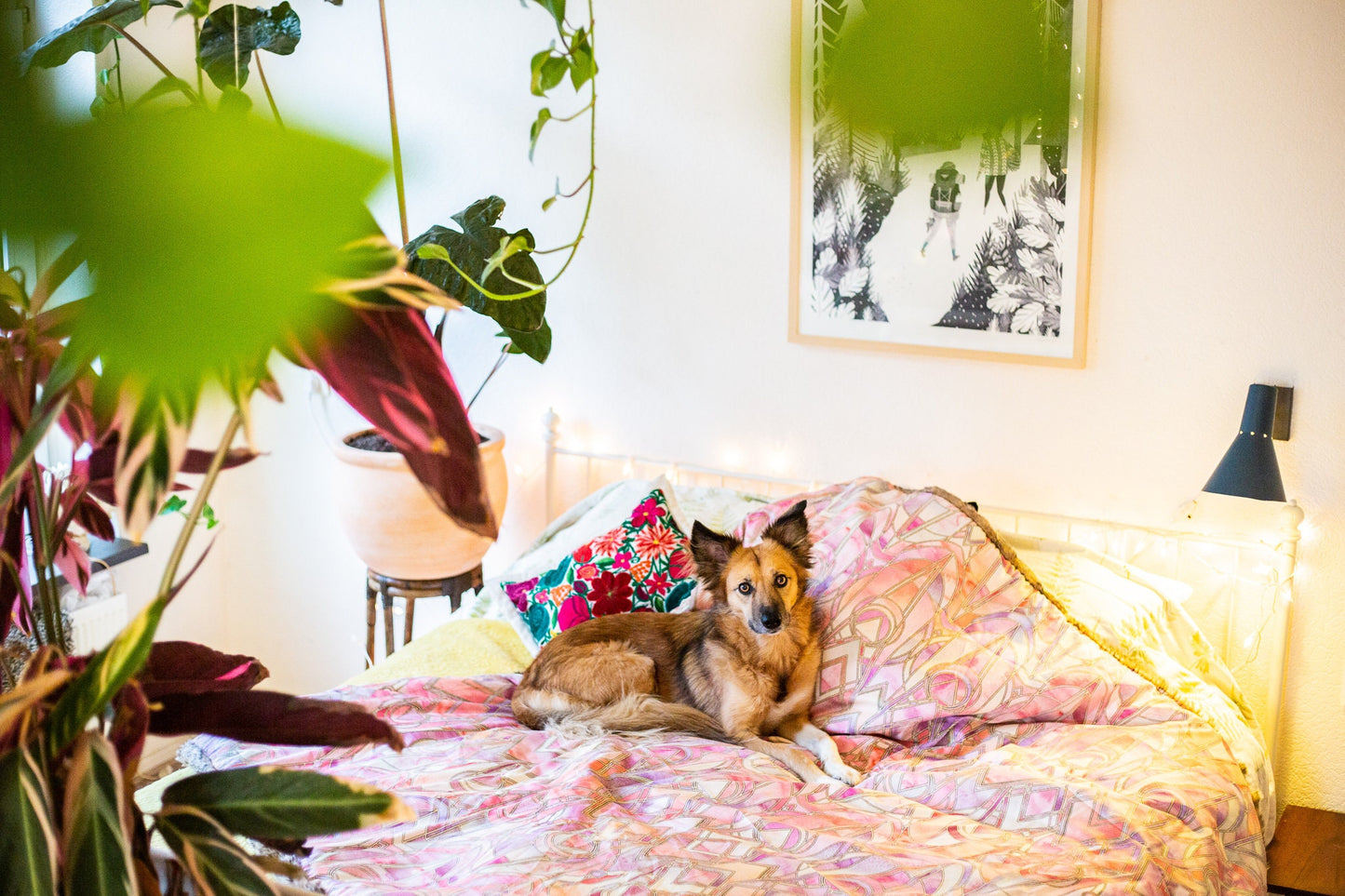 Organic pink marble throw blanket from cotton and high-end faux fur