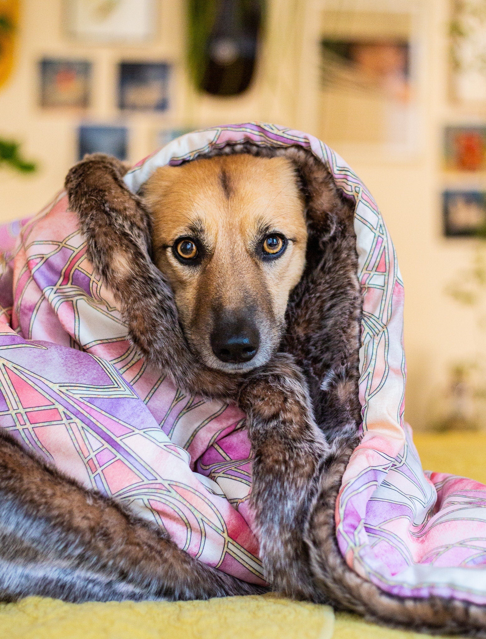 Faux fur pink discount blanket