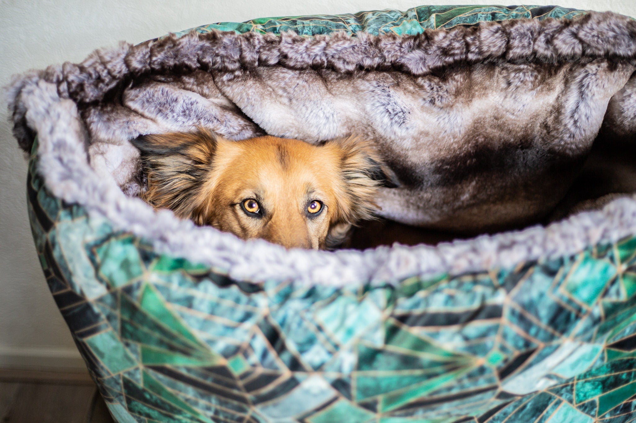 Emerald green dog outlet bed