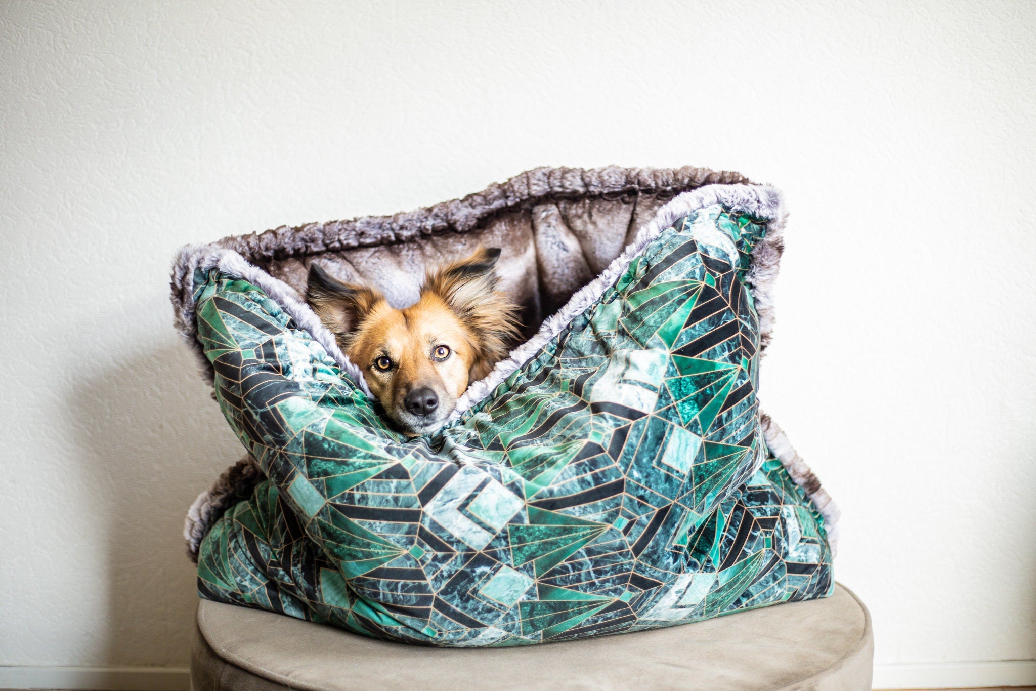 Emerald green dog clearance bed