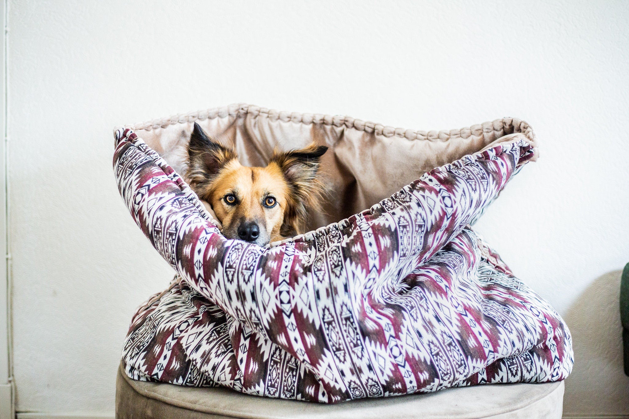 Dog shop snuggle sack